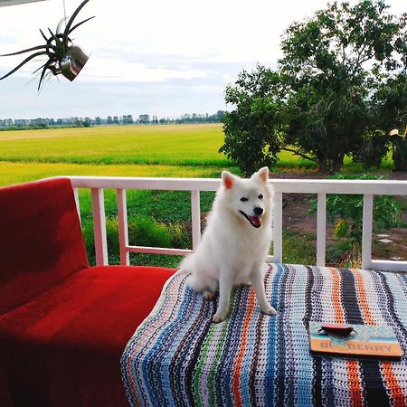 The 99 Cottage Suphan Buri Exterior photo